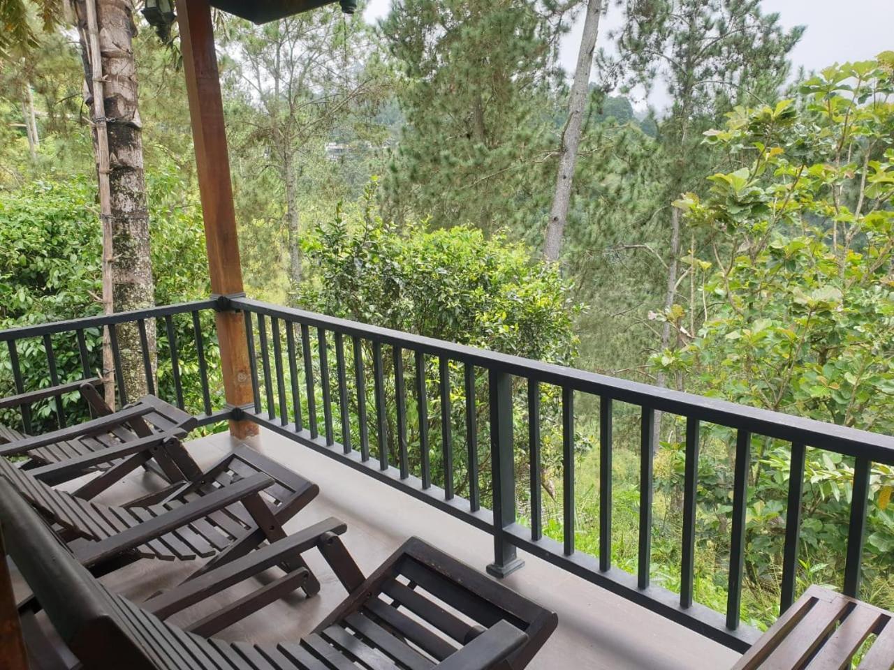 Ella Mount Relax Cottage المظهر الخارجي الصورة